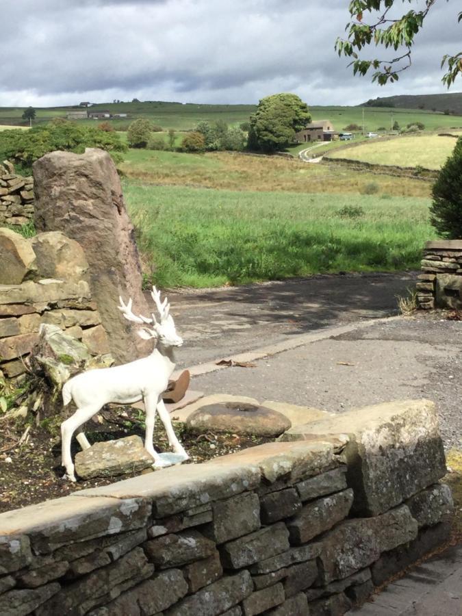 Cosy Rural Cottage Peak District, Pets Welcome Hollinsclough Exteriér fotografie